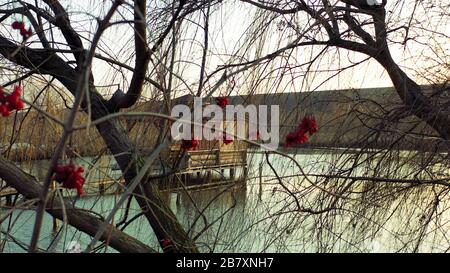 Bacche rosse su un albero sopra l'acqua. Un gazebo di legno galleggia su un fiume. Mazzi di viburnum, il paesaggio nazionale dell'Ucraina. Folklore vista, paesaggio Foto Stock