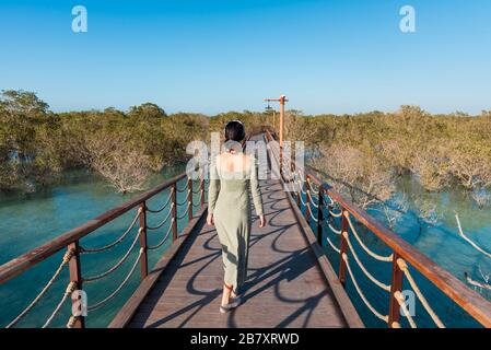 Donna turistica visita Mangrove Walk parco sul mare ad Abu Dhabi, Emirati Arabi Uniti Foto Stock