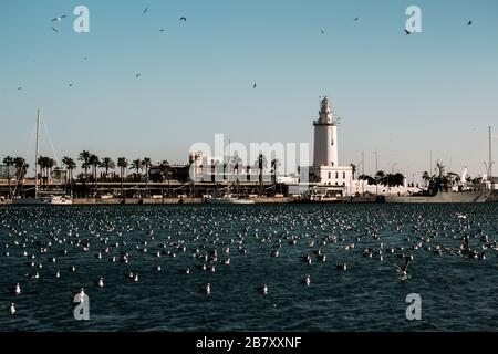 Porto marittimo con gabbiani, barche, faro e noria a Malaga (sud della spagna). Foto Stock