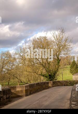 Un albero invernale coperto di edera sorge accanto ad un vecchio ponte stradale. Ci sono campi in lontananza e un cielo nuvoloso sopra. Foto Stock