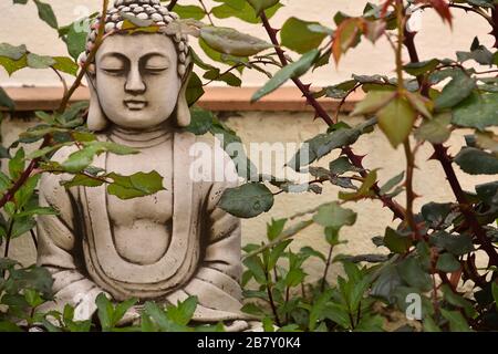 Figura di Buddha di pietra tra i cespugli di rosa dopo la pioggia Foto Stock