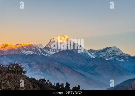 Bella luce alba baciare Dhaulagiri montagna cima vista da Poonhill Ghorepani Nepal Foto Stock