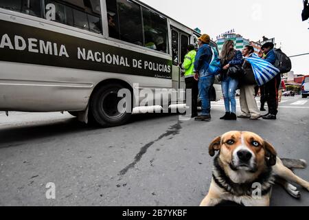 La Paz, la Paz, Bolivia. 18 Marzo 2020. La popolazione boliviana accetta una dopo l'altra le misure governative adottate per impedire l'espansione del COVID 19 in questo paese. Oggi, mercoledì 18 marzo, è stata applicata una misura supplementare, vale a dire il confinamento generale e il divieto di circolare tra le 18:00 e le 05:00. Tutte le riunioni sono vietate e le attività lavorative devono terminare alle 13:00, con l'eccezione delle forze dell'ordine e militari Credit: Christian Lombardi/ZUMA Wire/Alamy Live News Foto Stock