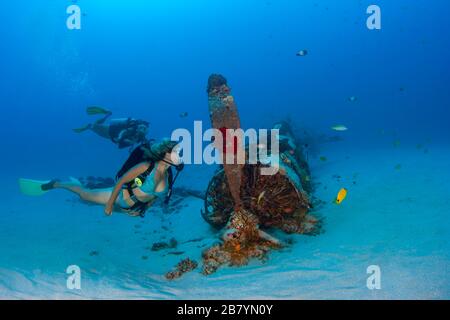 Divers (MR) su un WW II Corsair aereo da caccia fuori il sud-est Oahu, Hawaii. Foto Stock