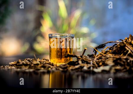 Rimedio per l'asma sulla superficie di legno costituito da alcune foglie di ardusi, miele, zenzero e succo di foglia ben mescolati per il trattamento. Shot orizzontale w Foto Stock