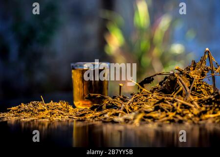 Rimedio per l'asma sulla superficie di legno costituito da alcune foglie di ardusi, miele, zenzero e succo di foglia ben mescolati per il trattamento. Shot orizzontale w Foto Stock