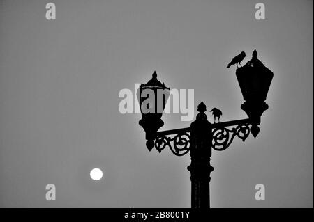 Luna piena, due corvi seduti su palo luce antico, Gateway of India, Apollo Bunder, Colaba, Bombay, Mumbai, Maharashtra, India, Asia Foto Stock