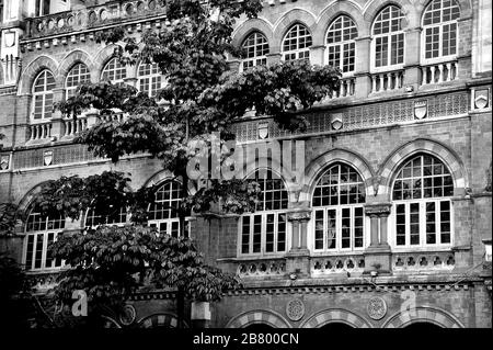 Elphinstone College, Kala Ghoda, Fort, Bombay, Mumbai, Maharashtra, India, Asia Foto Stock