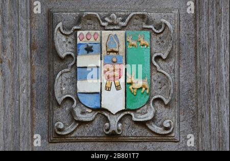 Stemma di Lincoln College Oxford University il badge o cresta è incisa o in rilievo sulla grande porta per la Libreria di Bodleian in Catte Street Foto Stock