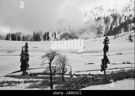Recinzione di metallo, paesaggio di neve, Kungdoor, Gulmarg, Baramulla, Kashmir, Jammu e Kashmir, India, Asia Foto Stock