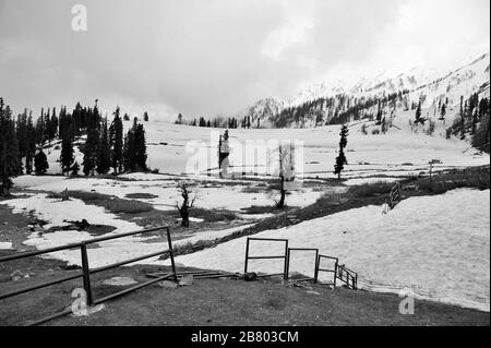 Recinzione di metallo, paesaggio di neve, Kungdoor, Gulmarg, Baramulla, Kashmir, Jammu e Kashmir, India, Asia Foto Stock