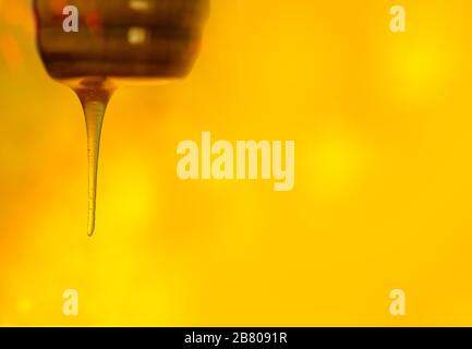 Schizzi di miele dolce biologico. Immersione del miele dal cucchiaio di miele di legno. Spazio per il testo. Foto Stock