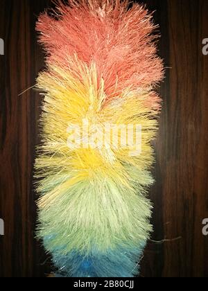 Un'immagine di pennello Foto Stock