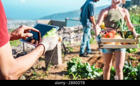 Team cordiale che raccoglie verdure fresche biologiche dal giardino della serra della comunità e pianifica la stagione del raccolto su un tablet digitale - Focus sull'uomo Foto Stock