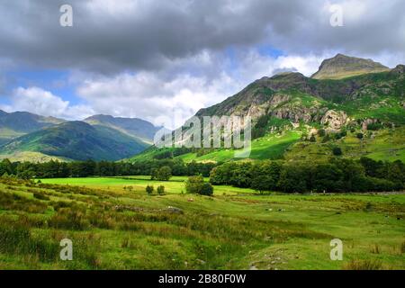 Langdale Valley, nel Distretto dei Laghi Inglesi, Cumbria. Foto Stock