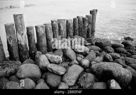 Castle Haven, Reeth Bay, Isola di Wight, Inghilterra, Regno Unito: Una giornata tranquilla, con una vecchia frangiflutti e grandi massi ricoperti di alghe in primo piano. Fotografia a pellicola in bianco e nero Foto Stock