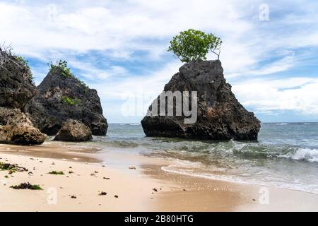 Albero unico che cresce su una roccia nell'oceano sulla spiaggia di Bingin, Bali - Indonesia Foto Stock