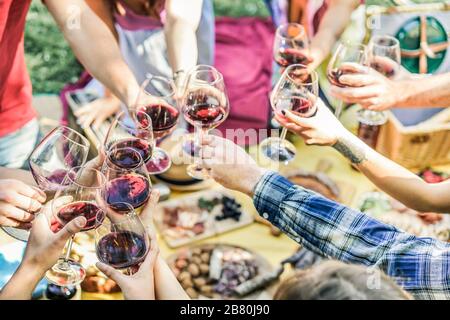 Gruppo di amici gustando picnic mentre si beve il vino rosso e mangiando snack antipasto outdoor - Giovani tifo e divertirsi insieme - Focus su Foto Stock