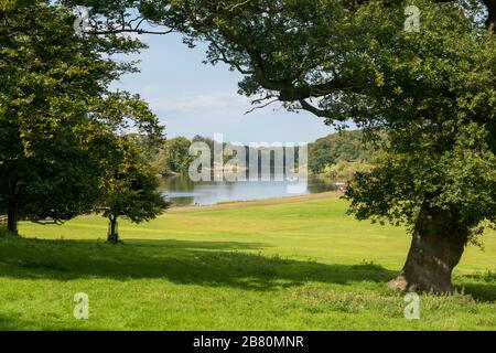 Vista attraverso il parco fino al lago nella tenuta Holkham a Norfolk Foto Stock