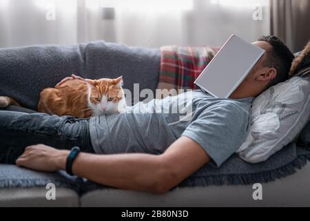 Il giovane si addormenta sul divano con un libro sul viso. Un gatto bianco e marrone giace sopra i giovani Foto Stock