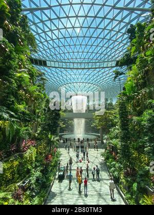 Singapore - 13 Feb 20120. Il Rain Vortex, una cascata interna alta 40 metri situata all'interno del gioiello dell'Aeroporto Changi di Singapore. Foto Stock