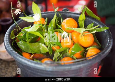 Arance con foglie in secchio con acqua, Marocco Foto Stock