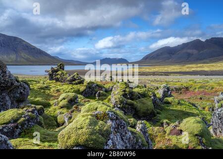 Il Moss coprì il campo di lava negli altopiani dell'Islanda Foto Stock