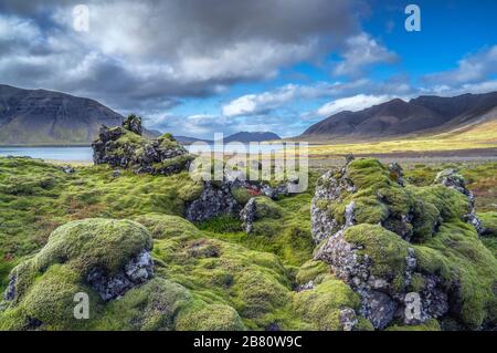Il Moss coprì il campo di lava negli altopiani dell'Islanda Foto Stock