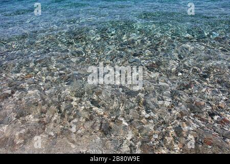 Dettagli cristallini a Cala Luna in Sardegna. Foto Stock