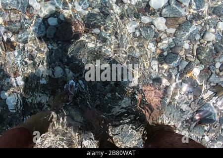 Dettagli cristallini a Cala Luna in Sardegna. Foto Stock