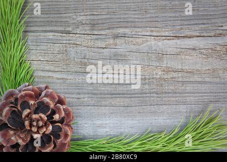 Cornice di Natale dei rami di alberi e coni marroni secchi. Foto Stock