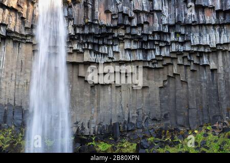 Cascata di Svartifoss in Islanda vicino al ghiacciaio di Vatnajokull, famosa per la sua ampia parete in pietra basaltica Foto Stock