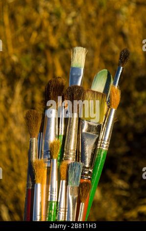 Primo piano delle spazzole di vernice. Pennelli su sfondo autunno sfocato Foto Stock