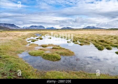 paesaggio vulcanico con lago e campo lavico coperto di muschio Gli altopiani dell'Islanda Foto Stock