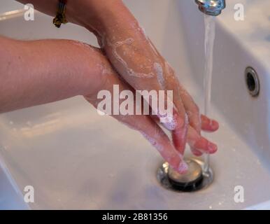 donna lavarsi le mani in bagno Foto Stock