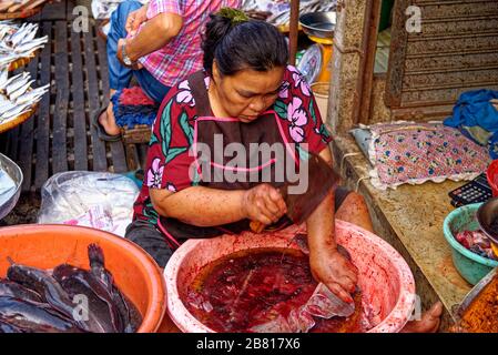 Bangkok, Thailandia - Donna uccidere e macellaio pesce gatto in strada mercato fresco. Foto Stock