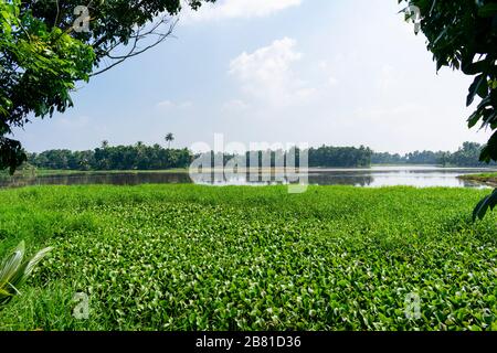 Alapphuzza, Kerala, India - Dicembre 25 2019 - uno scorcio del lago di Vembanad Foto Stock