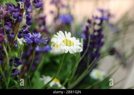 Mazzo di fiori freschi Foto Stock