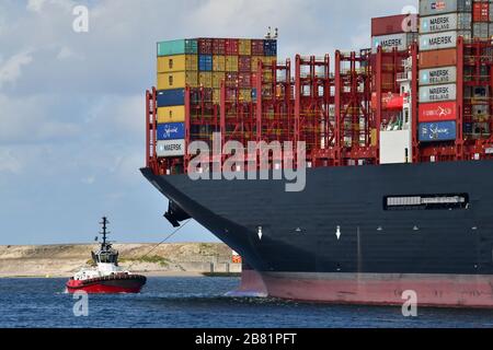 Rotterdam, Europoort, Paesi Bassi-settembre 2019; vista della sezione di poppa della più grande nave container del mondo con un rimorchiatore rosso che tiene la s. Foto Stock