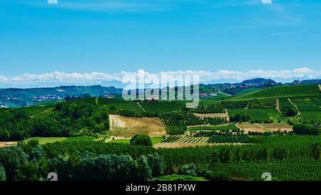 Vigneti sulle colline della provincia piemontese in Italia Foto Stock