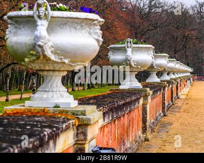 muro di piantatrici di urna con fiori Foto Stock