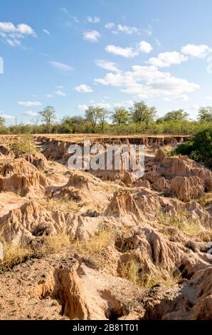 Erosione del suolo sulle rive del fiume Zambesi, che si ritiene sia causata da numerose inondazioni fuori stagione. Foto Stock