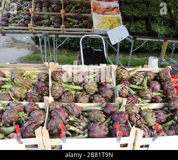 Stalla greengrocer con scatole piene di GRANDI CARCIOFI freschi in vendita sul mercato locale Foto Stock
