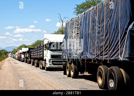 Una linea di camion è immobile, che si estende per chilometri mentre gli autisti aspettano di attraversare il posto di confine a Chirundu dallo Zimbabwe allo Zambia Foto Stock