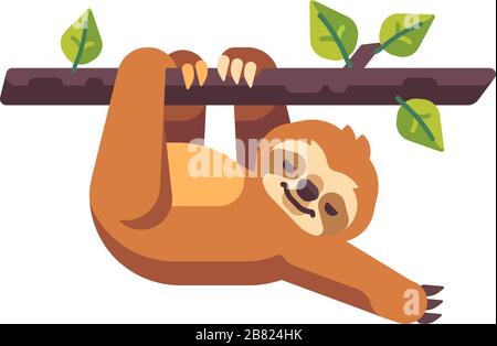 Cute sloth appeso da un albero piatto illustrazione Illustrazione Vettoriale