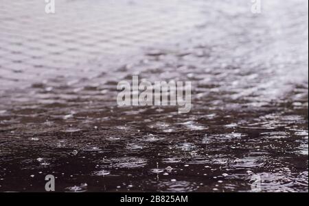 Gocce di pioggia in una pozza Foto Stock