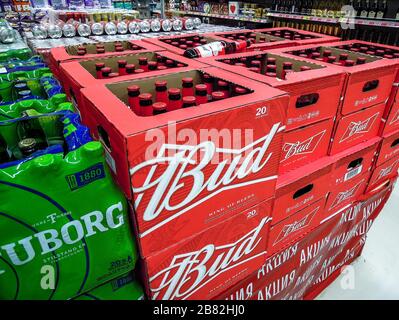 Samara, Russia - 16 marzo 2020: Birra alcolica a bocciolo in bottiglie di vetro pronte per la vendita sullo scaffale del superstore. Varie bevande alcoliche in bottiglia Foto Stock