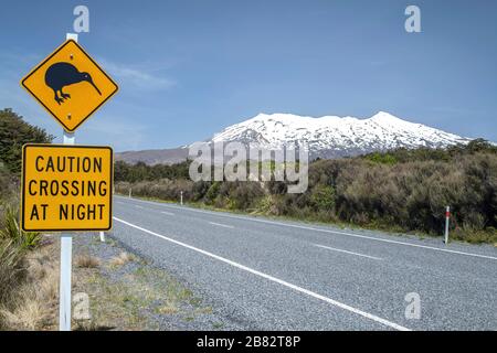 Segnale stradale avvertimento di kiwi camminare sulla strada di notte, South Island, Nuova Zelanda Foto Stock