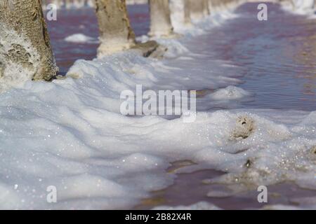 Schiuma vicino alla diga di legno del lago di sale rosa Sasyk-Sivash nella parte occidentale della penisola di Crimea. Giorno di sole Foto Stock