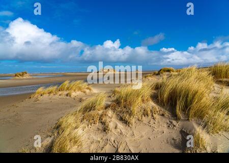 Paesaggio delle dune, dune di sabbia, erba di dune ad ovest di Borkum, isola, Frisia orientale, inverno, stagione, autunno, bassa Sassonia, Germania, Foto Stock